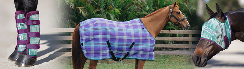 Shop Horse.com for the full collection of Kensington fly sheets, masks, boots and coordinating stall guards, grooming totes, stable supplies and other gear. We carry all colors and a wide range of sizes. For the largest assortment, be sure to shop early!